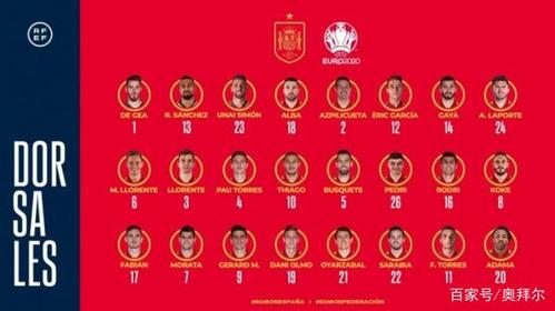 欧洲杯队员解析图表最新（欧洲杯队伍人员名单）
