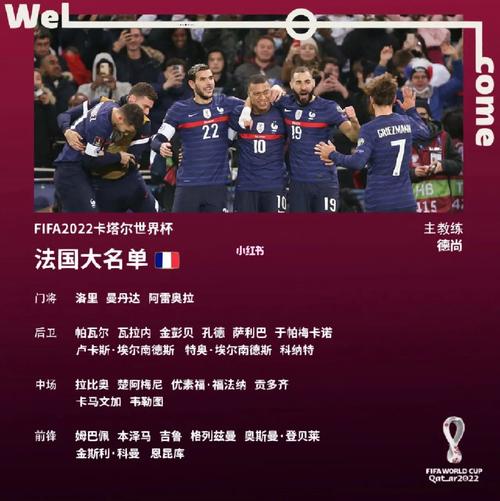 法国女足进入欧洲杯名单（法国女足队员）